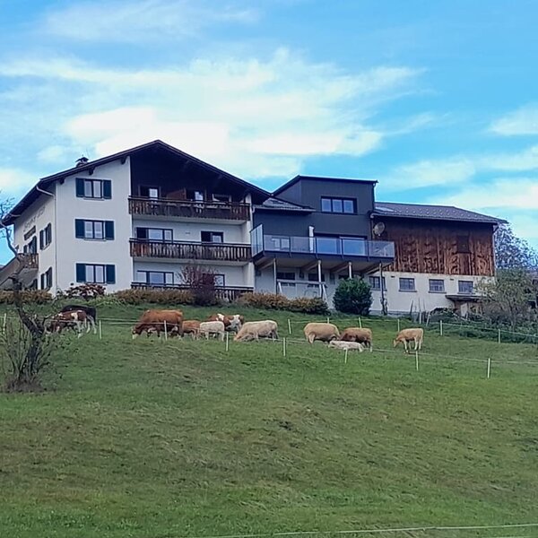 Unser Hof mitten im Grünen