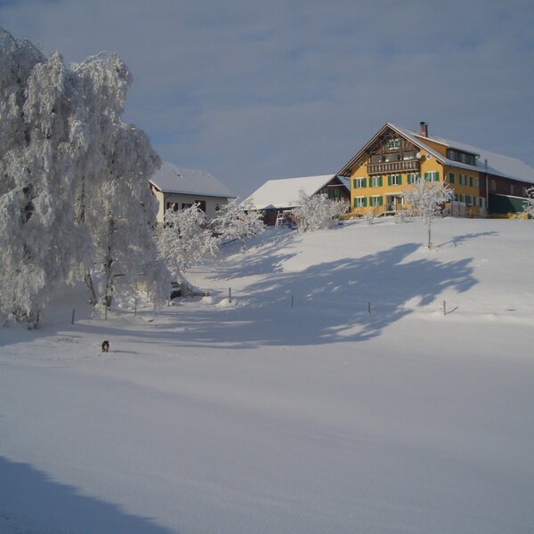 Organic farm on the hilltop