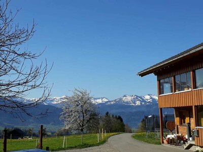 Blick in den Schnee Blick in den Schnee