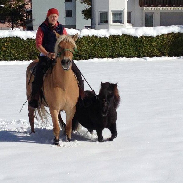 A person riding a horse and leading a pony through snow, representing the winter landscape around the Farm House.