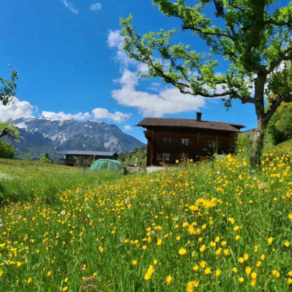 wonderful place